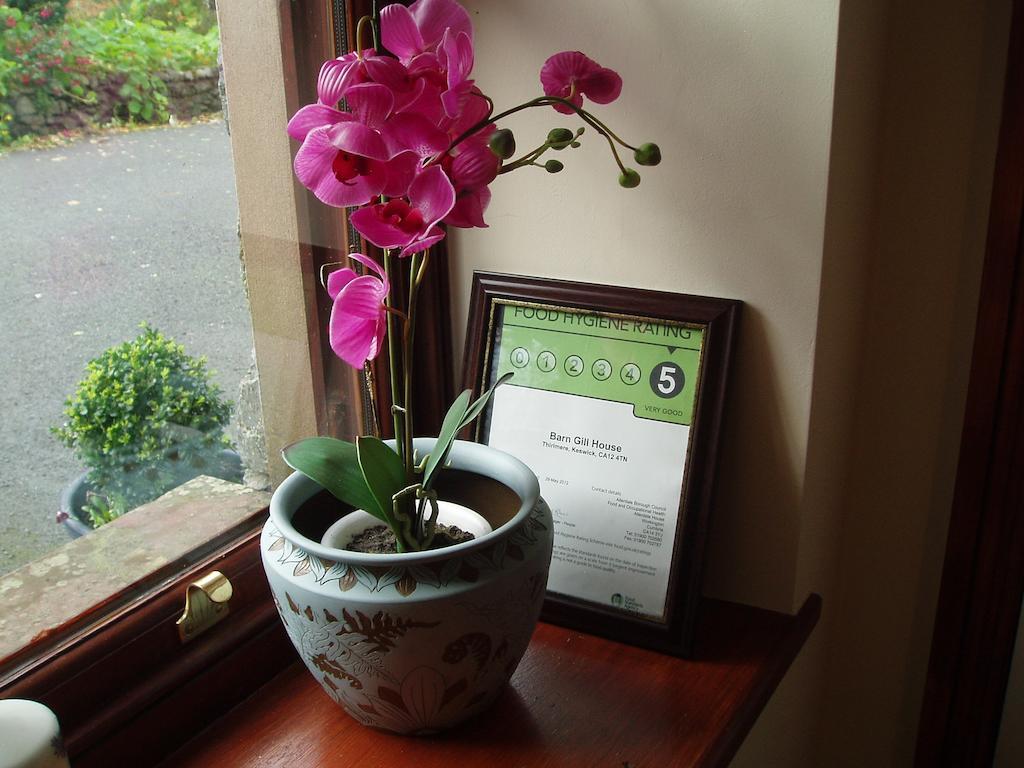Thirlmere Barn-Gill House Bed & Breakfast 部屋 写真